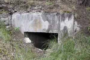 Ligne Maginot - LA CHARPENELLE 5 - (Abri) - 