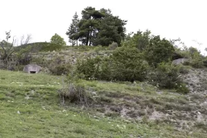 Ligne Maginot - LES MEYRIES 1 - (Blockhaus pour arme infanterie) - Les deux pilules