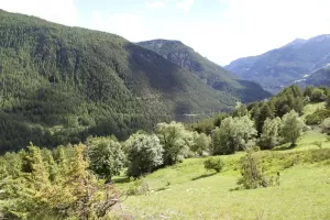 Ligne Maginot - LES MEYRIES 1 - (Blockhaus pour arme infanterie) - Le beau plan feu