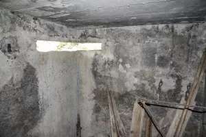 Ligne Maginot - SOMMET BUCHER 2 - (Blockhaus pour arme infanterie) - 