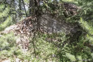 Ligne Maginot - SOMMET BUCHER 2 - (Blockhaus pour arme infanterie) - A proximité immédiate une excavation. Abri ou fouille ?