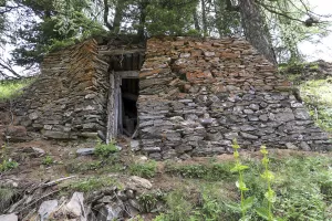 Ligne Maginot - SOMMET BUCHER 5 - (Abri) - L'abri en grande partie effondré