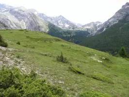 Ligne Maginot - FOUILLOUSE ABRI 2 - (Abri) - Vue d'ensemble