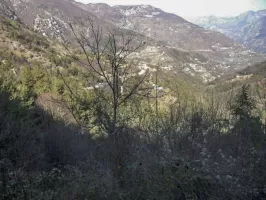 Ligne Maginot - COL DE BROUIS - (Barrage de Route) - Secteur couvert par le deuxième créneau.