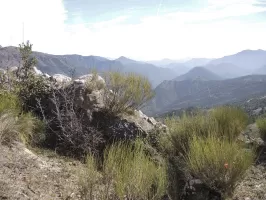 Ligne Maginot - CIME DU BOSC OUEST - (Observatoire d'artillerie) - L'observatoire