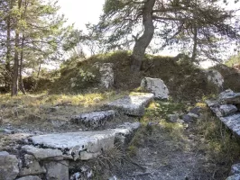 Ligne Maginot - CIME DU BOSC OUEST - (Observatoire d'artillerie) - Restes de l'abri à l'arrière de l'observatoire