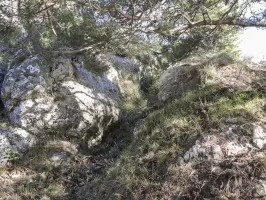 Ligne Maginot - CIME DU BOSC OUEST - (Observatoire d'artillerie) - Tranchée entre l'observatoire et l'abri