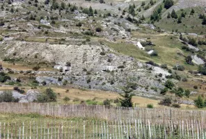 Ligne Maginot - NORD EST DE SAINT OURS (NESO) - (Abri) - Vue d'ensemble