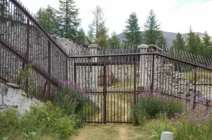 Ligne Maginot - VALLON CLAOUS (5/162° RAP) - (Position d'artillerie préparée) - 