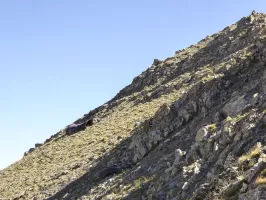 Ligne Maginot - COL de COLOMBART (Quartier Rougna) (PC de Quartier) - 