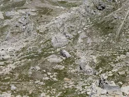 Ligne Maginot - COL DE LA BRAÏSSA - (Abri) - 