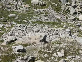 Ligne Maginot - COL DE LA BRAÏSSA - (Abri) - Le toit