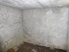 Ligne Maginot - COL DE LA BRAÏSSA 2 - (Abri) - 