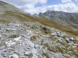 Ligne Maginot - COL DE RASPAILLON - (Blockhaus de type indéterminé) - Restes d'une cuve et tout au fond La Pelousette.