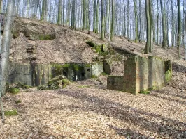 Ligne Maginot - SCHIMBERG (SOUS-SECTEUR BITCHE - 37° RIF) - (PC de Sous-Secteur) - Vue générale extérieure