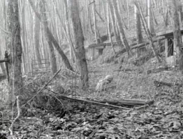 Ligne Maginot - SCHIMBERG (SOUS-SECTEUR BITCHE - 37° RIF) - (PC de Sous-Secteur) - PC du Schimberg utilisé en PC de compagnie le 15 décembre 1944 100th Infantry Division US