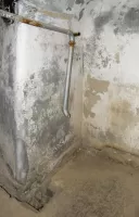 Ligne Maginot - LA MOUTIERE (MO) - (Ouvrage d'infanterie) - Pied du bloc 1
Une niche pour la chaudière