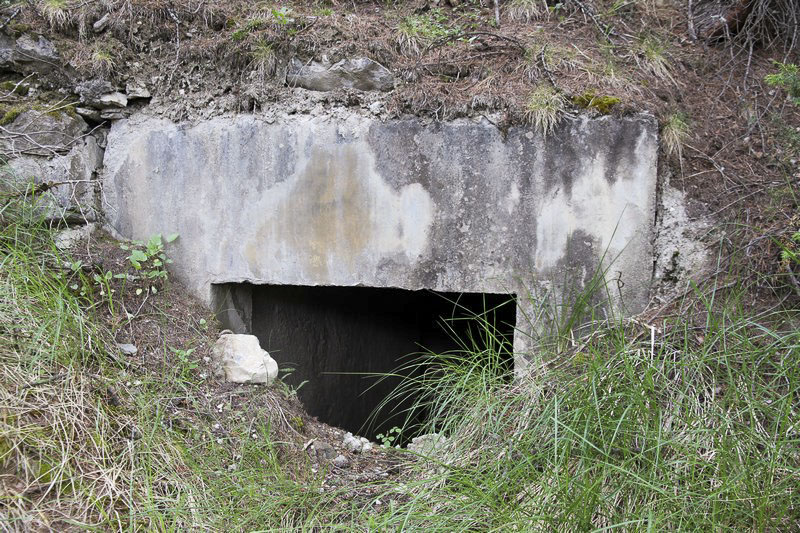 Ligne Maginot - LA CHARPENELLE 5 - (Abri) - 