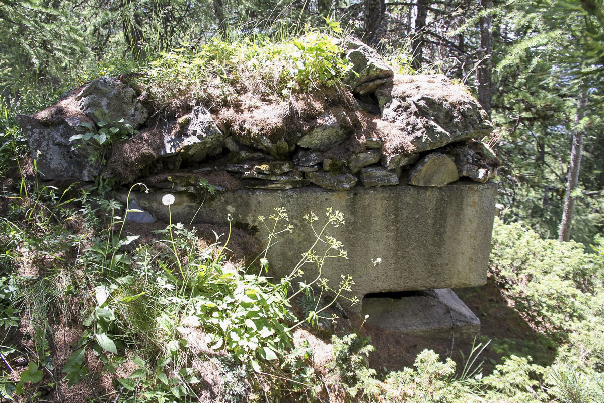 Ligne Maginot - SOMMET BUCHER 2 - (Blockhaus pour arme infanterie) - 