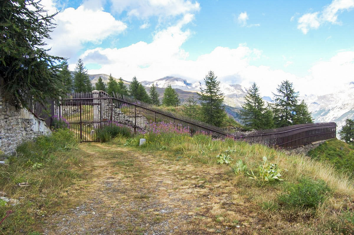 Ligne Maginot - VALLON CLAOUS (5/162° RAP) - (Position d'artillerie préparée) - Route d'arrivée vers Tournoux