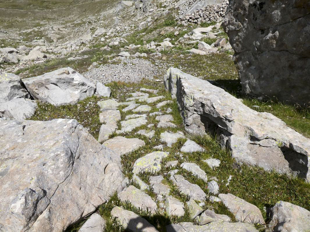 Ligne Maginot - COL DE LA BRAÏSSA - (Abri) - 