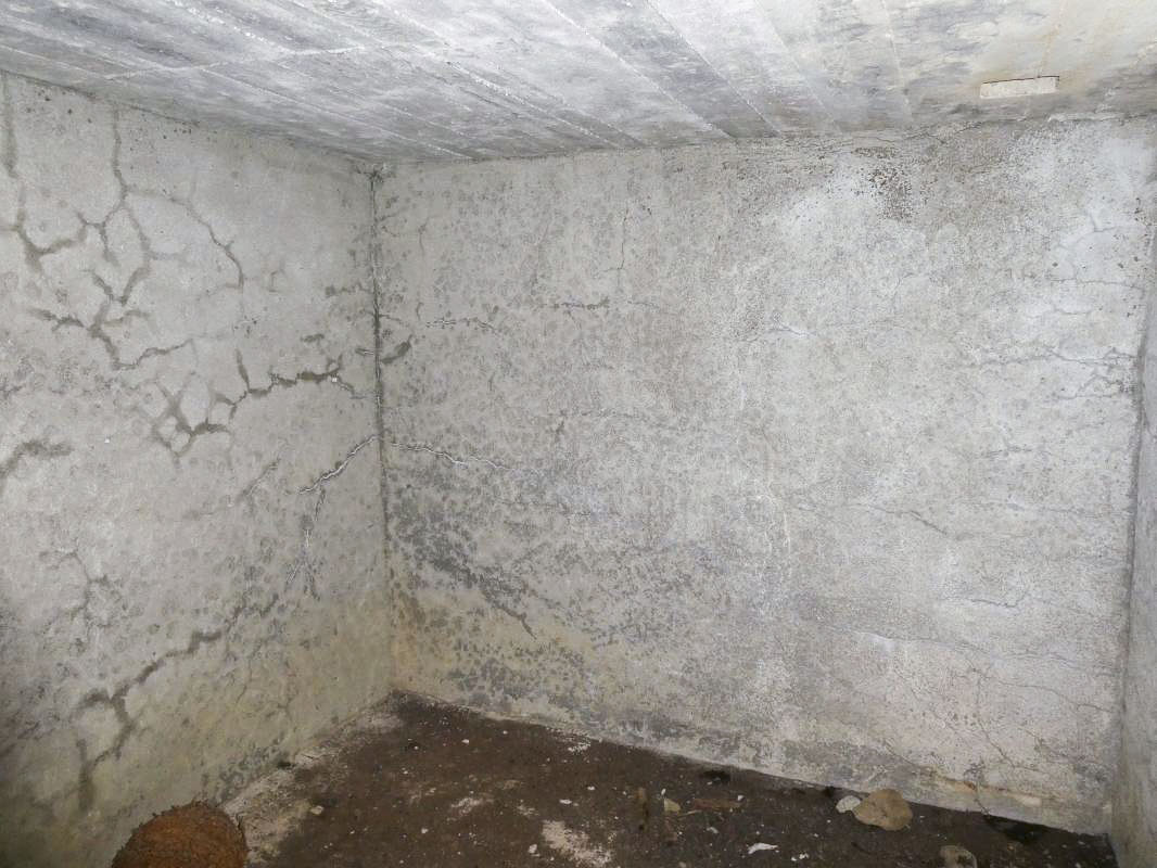 Ligne Maginot - COL DE LA BRAÏSSA 2 - (Abri) - 