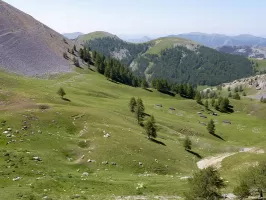 Ligne Maginot - Casernement du COL de la VALETTE - 