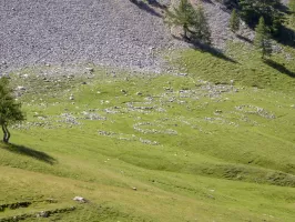 Ligne Maginot - Casernement du COL de la VALETTE - Emplacement des tentes Marabout