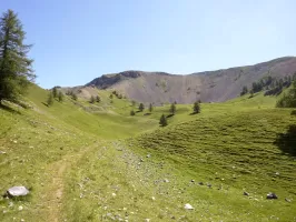 Ligne Maginot - Casernement du COL de la VALETTE - Les casernements au fond