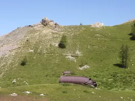 Ligne Maginot - Ouvrage du COL de la VALETTE - Environnement 
