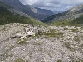 Ligne Maginot - COL DE PAL 2 - (Blockhaus pour arme infanterie) - Vue sur le vallon de Demandols