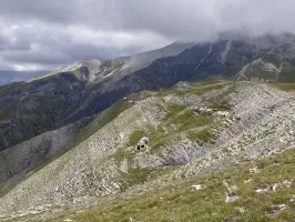 Ligne Maginot - COL de PAL (2° Cie - 74° BAF) - (PC) - Vue sur le PC et les casernements du Col de Pal