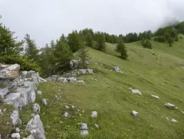 Ligne Maginot - COL DES MOULINÉS - (Position d'artillerie préparée) - Crête du col