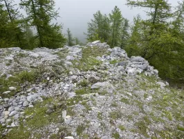 Ligne Maginot - COL DES MOULINÉS - (Position d'artillerie préparée) - Cuve 1