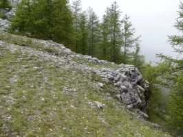 Ligne Maginot - COL DES MOULINÉS - (Position d'artillerie préparée) - Cuve 1