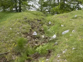 Ligne Maginot - COL DES MOULINÉS - (Position d'artillerie préparée) - Cuve 2
Tranchée