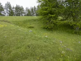 Ligne Maginot - COL DES MOULINÉS - (Position d'artillerie préparée) - Emplacement 2 pour 105