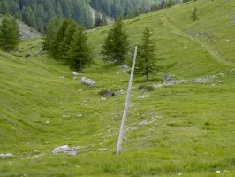 Ligne Maginot - COL DES MOULINÉS - (Position d'artillerie préparée) - Poteau téléphonique