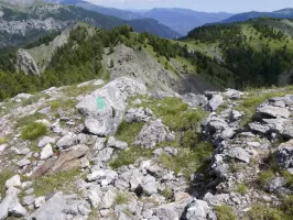 Ligne Maginot - COL DES MOULINÉS - (Position d'artillerie préparée) - Observatoire Est