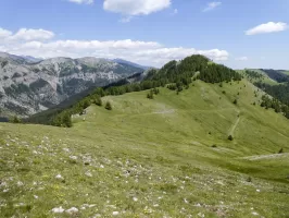 Ligne Maginot - COL DES MOULINÉS - (Position d'artillerie préparée) - Le Col des Moulinés