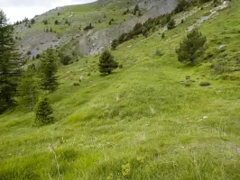 Ligne Maginot - COL DES MOULINÉS - (Divers) - Terrassement
