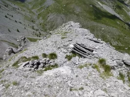Ligne Maginot - COL DES MOULINÉS 2 - (Divers) - Abri en rondins