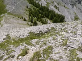 Ligne Maginot - COL DES MOULINÉS 2 - (Divers) - 