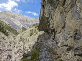 Ligne Maginot - COL DES TRENTE SOUCHES  2 - (Divers) - La piste militaire qui part d'Entraunes jusqu'au Col des Trente Souches.