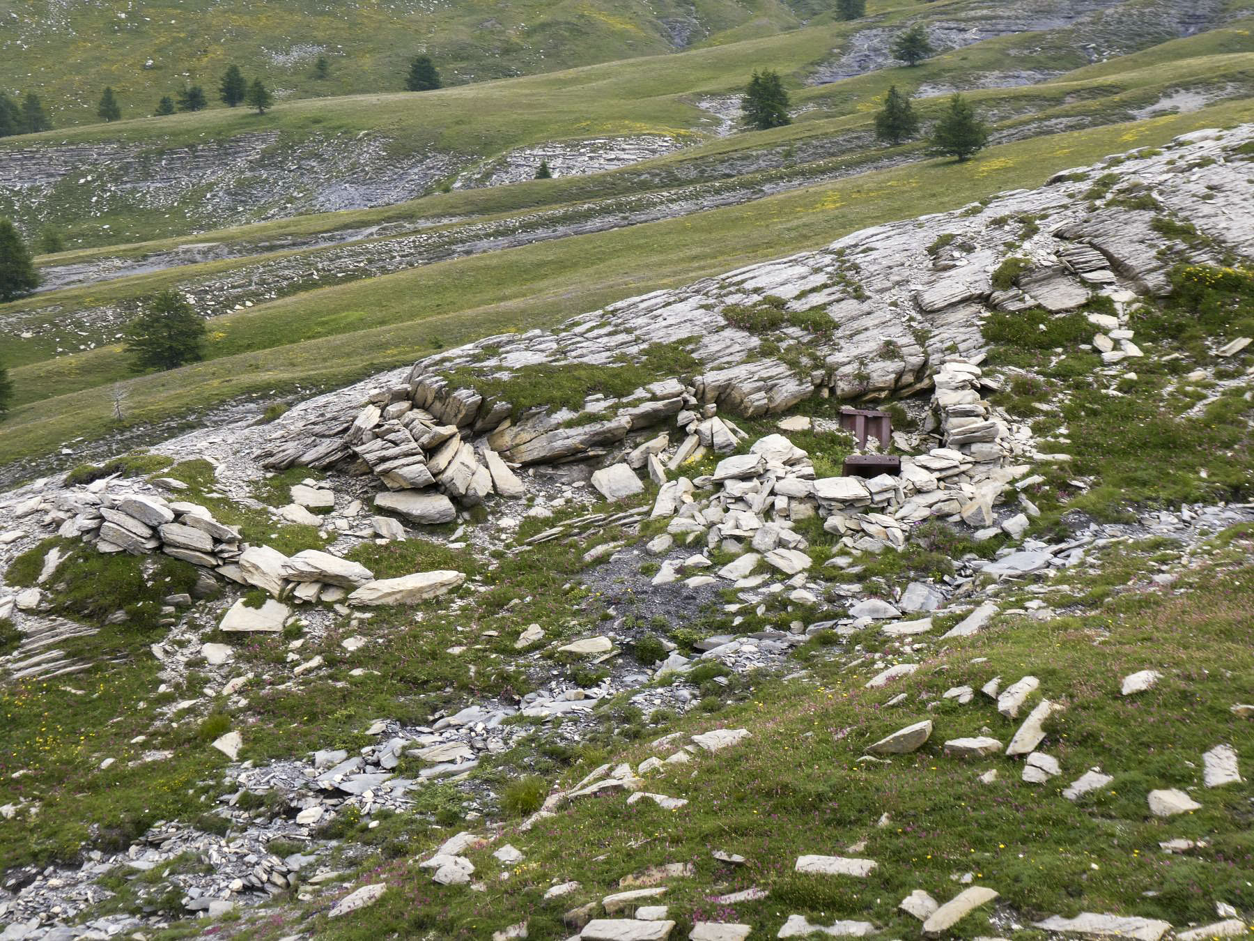 Ligne Maginot - COL DE PAL 2 - (Blockhaus pour arme infanterie) - Cuves à proximité