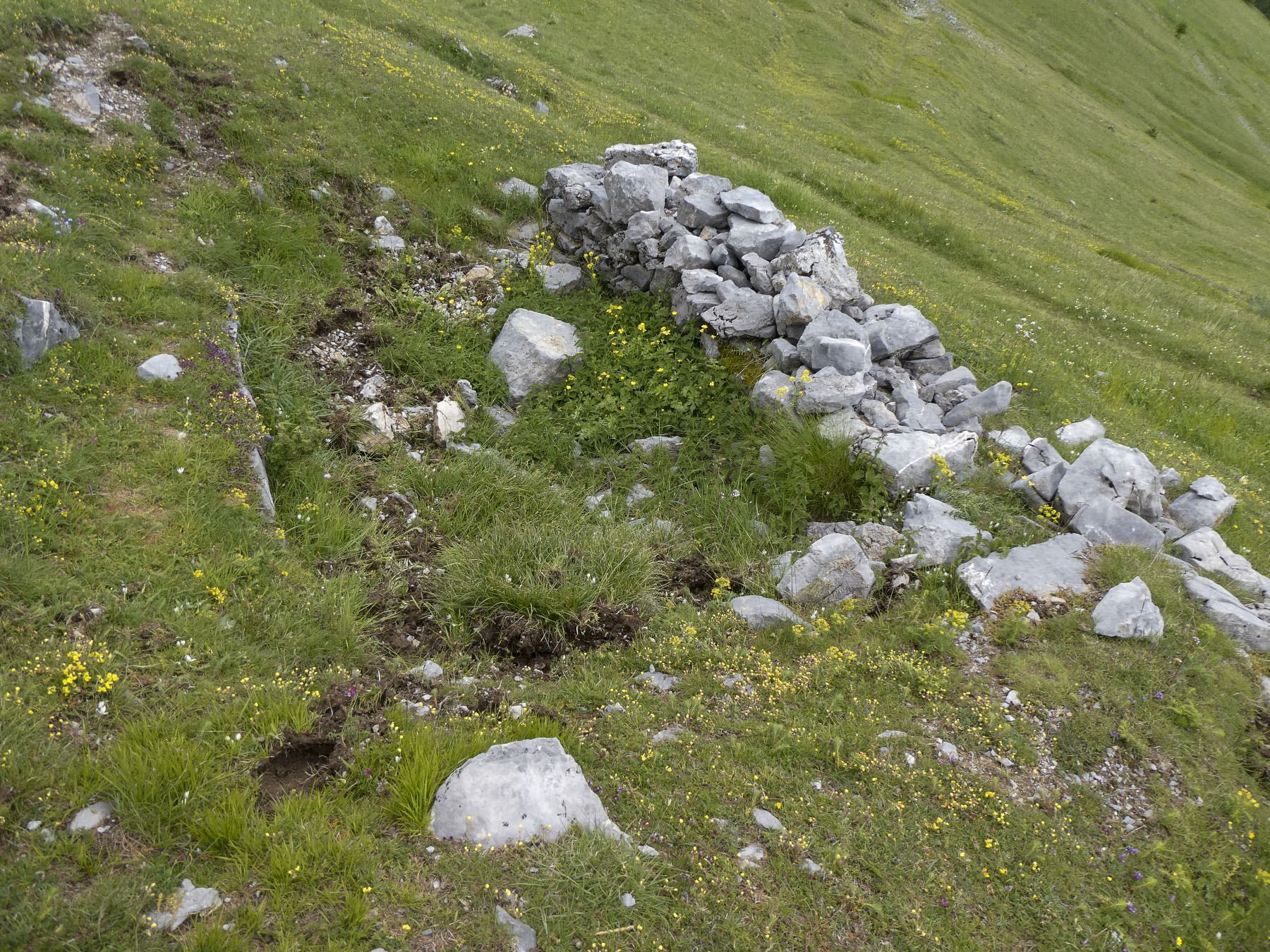 Ligne Maginot - COL DES MOULINÉS - (Position d'artillerie préparée) - Emplacement préparé