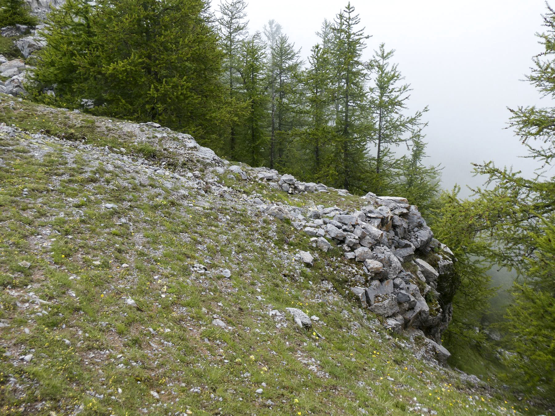 Ligne Maginot - COL DES MOULINÉS - (Position d'artillerie préparée) - Cuve 1