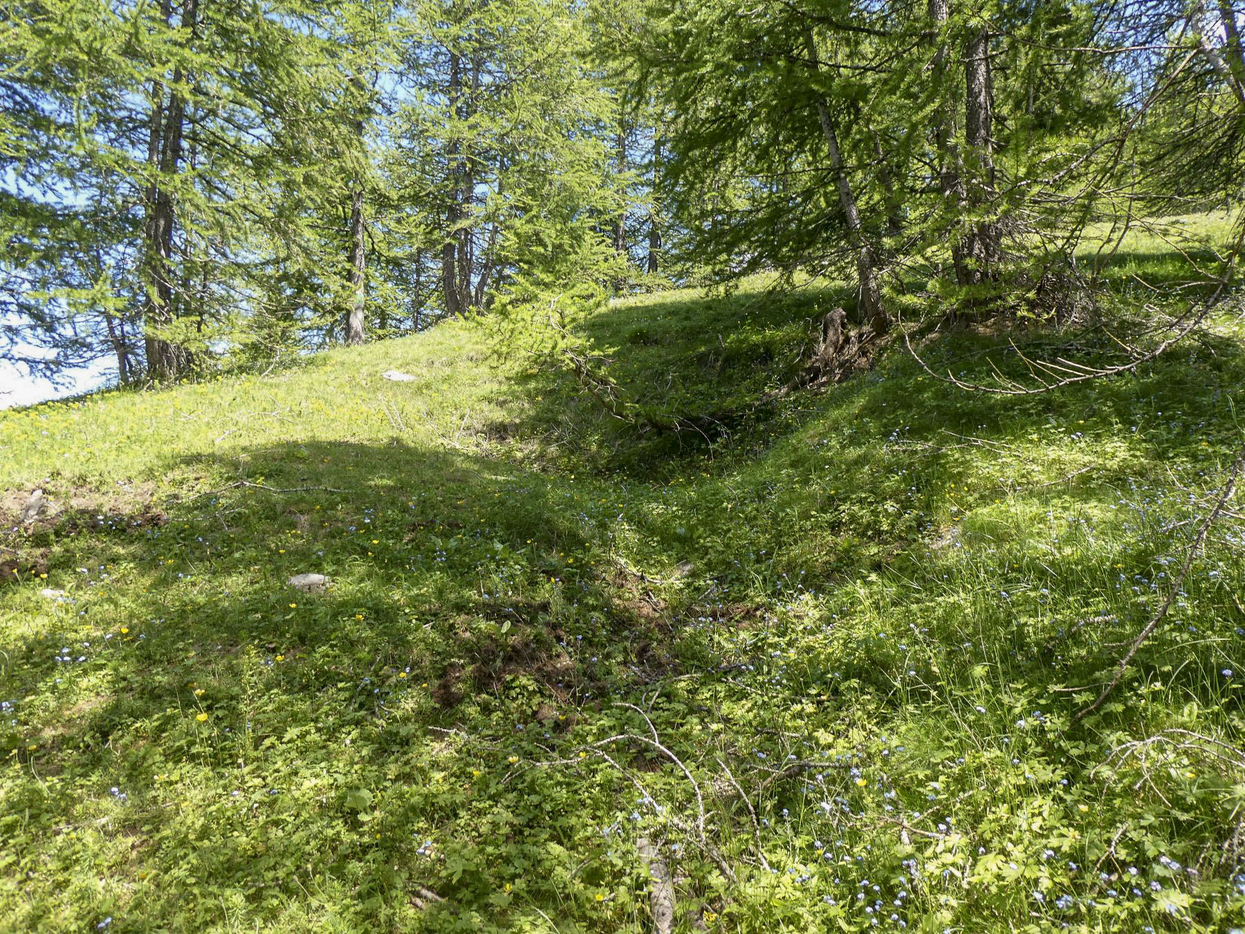 Ligne Maginot - COL DES MOULINÉS - (Position d'artillerie préparée) - Autres emplacements en remontant vers le Rocher de Moulinés