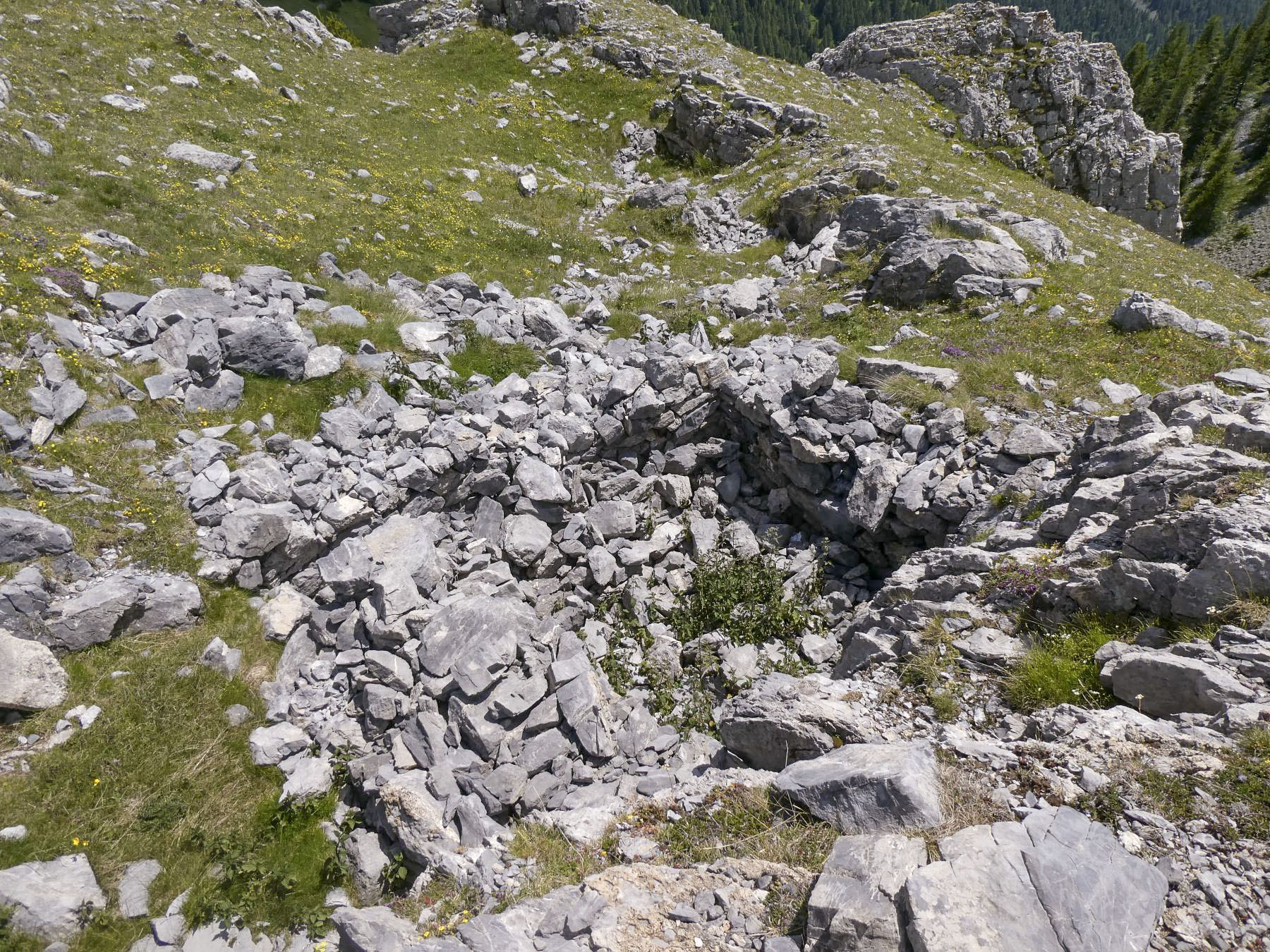 Ligne Maginot - COL DES MOULINÉS 2 - (Divers) - Abri