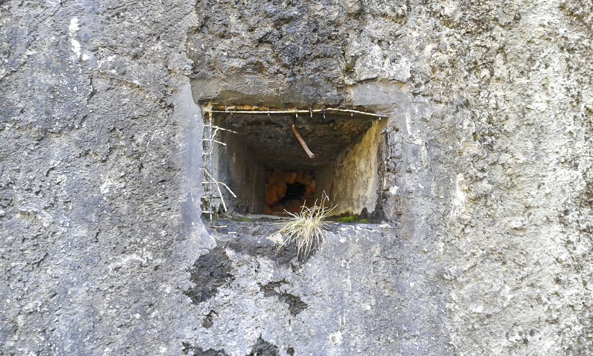 Ligne Maginot - ISOLA - (Ouvrage d'infanterie) - Bloc 1
Embrasure